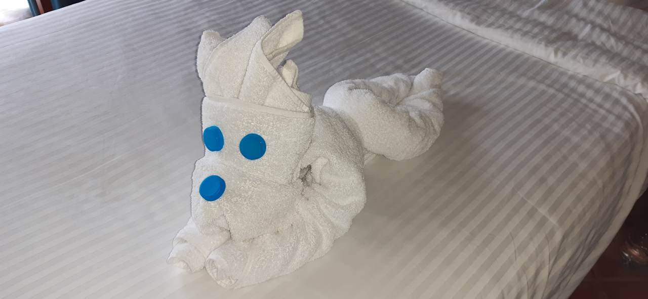 Zimmer Three Corners Sea Beach Resort