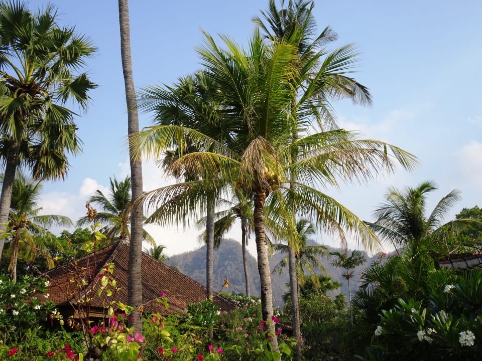 Gartenanlage Hotel Matahari Beach Resort & Spa