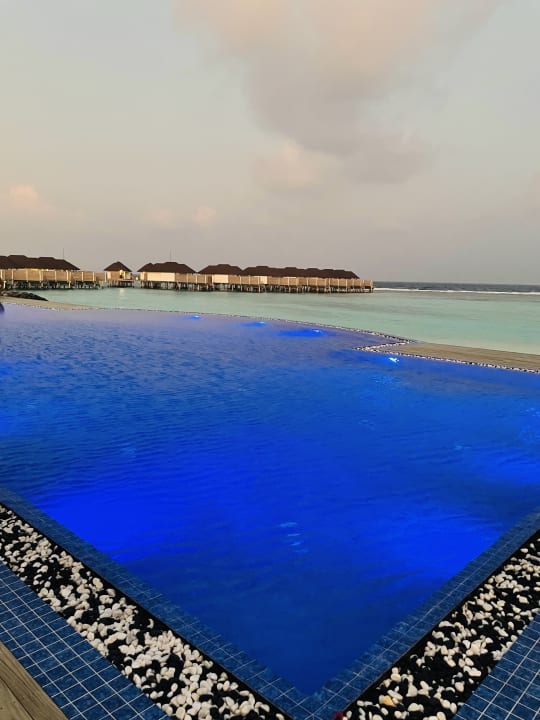 Pool TUI BLUE Olhuveli Romance
