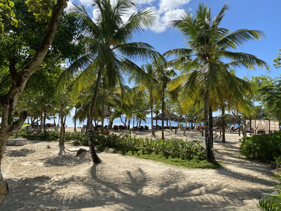 Ausblick Secrets La Romana Resort & Spa - Adult Only