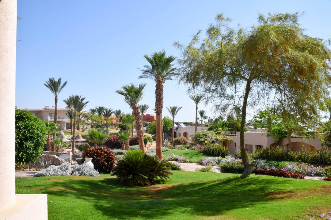 Blcick vom Zimmer Parrotel Beach Resort