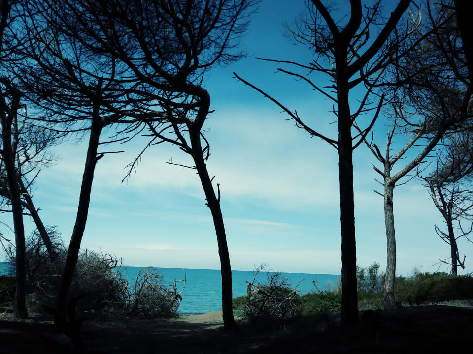 Strand Hotel Tornese - Tuscan Lifestyle