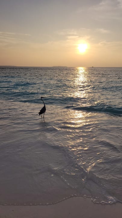 Strand Adaaran Select Meedhupparu Island Resort - Premium All Inclusive