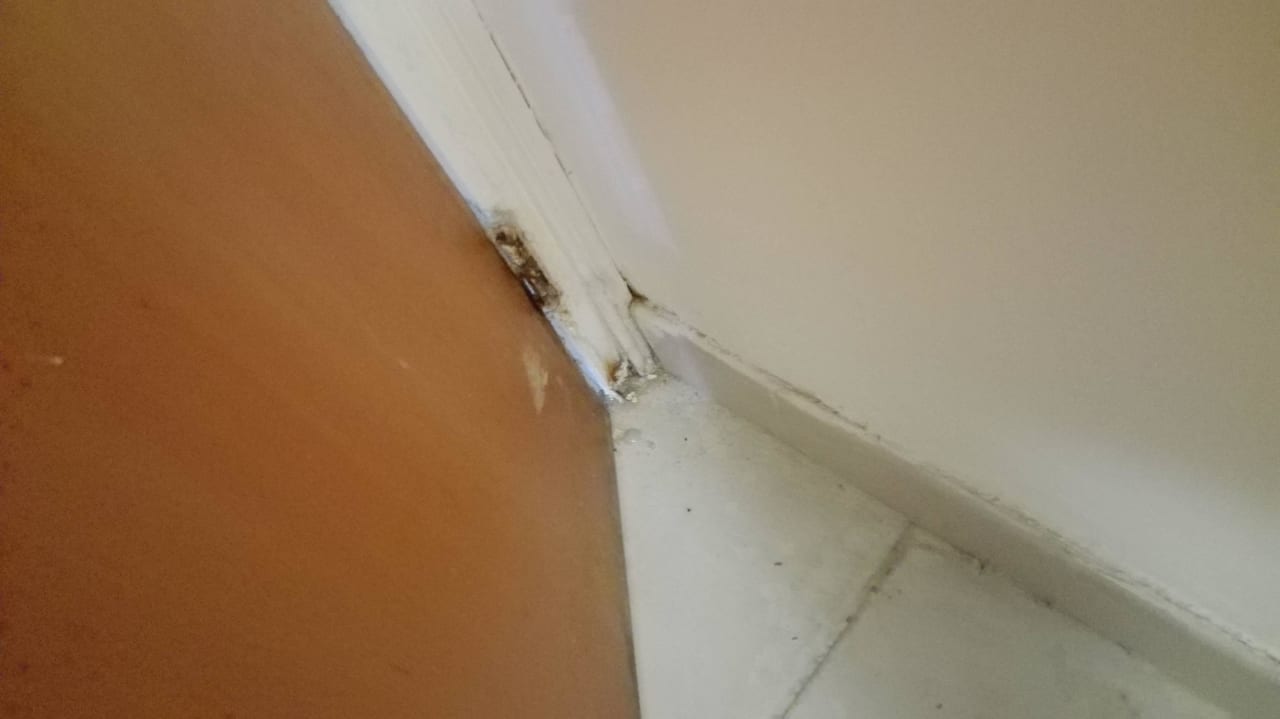 Mülhalde Hotel Anthea