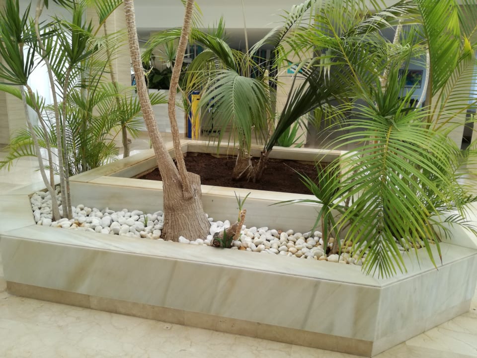 Lobby HSM Calas Park