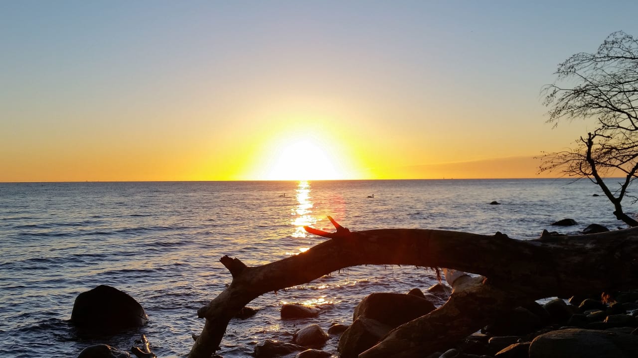 Strand Ferienbauernhof Liesenberg mit Meerblick