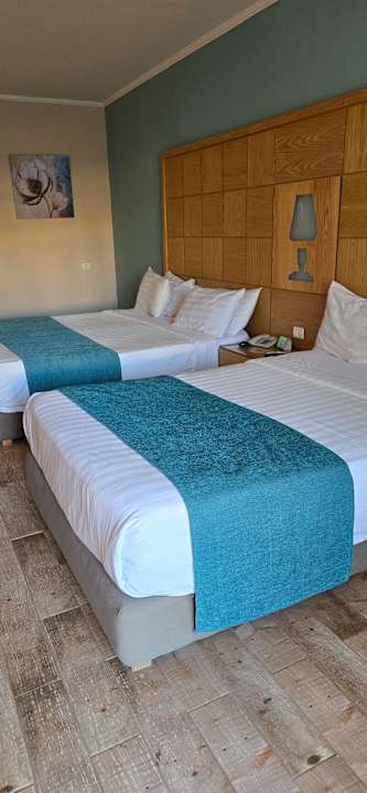 Zimmer Prima Life Makadi Resort