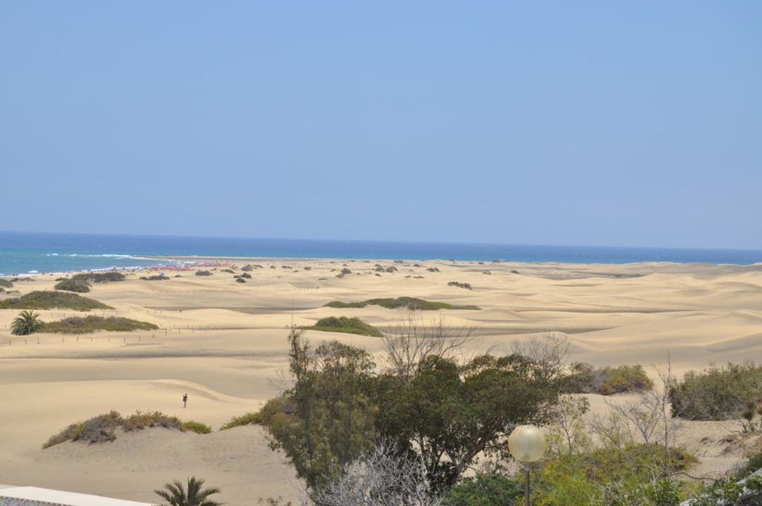 Ausblick vom Balkon Hotel Riu Palace Palmeras