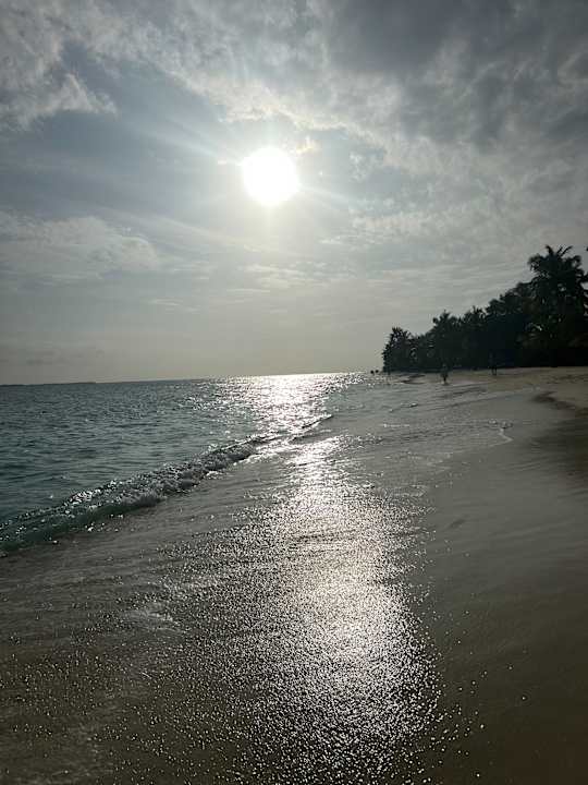 Ausblick Kuredu Island Resort & Spa