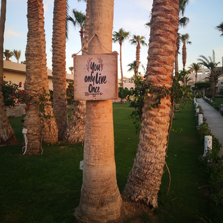 Gartenanlage Meraki Resort (Adults Only)