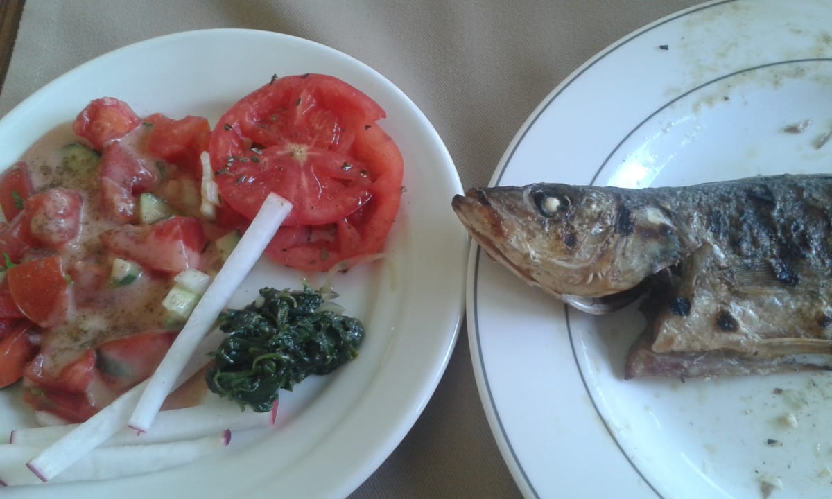 Gastro Nerton Hotel - Erwachsenenhotel ab 16 Jahren