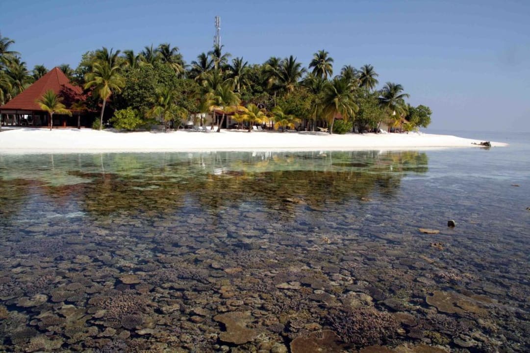 Der Korallentraum von Athuruga ananea Diamonds Athuruga