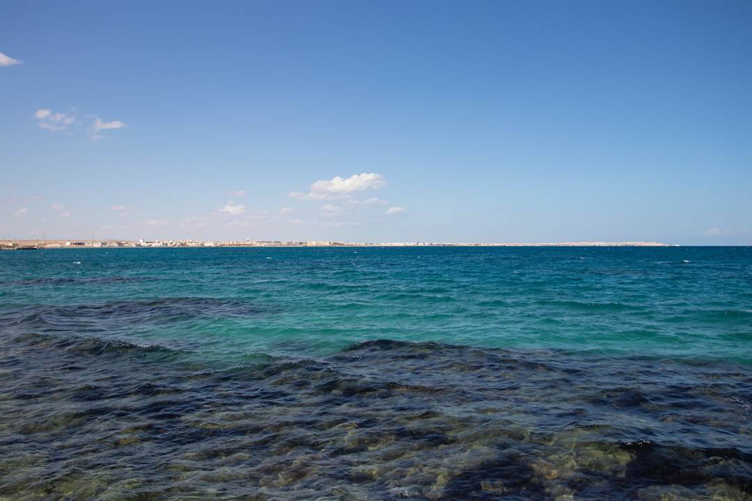 Ausblick Desert Rose