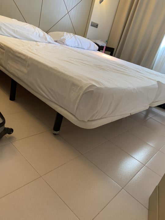 Zimmer blau punta reina