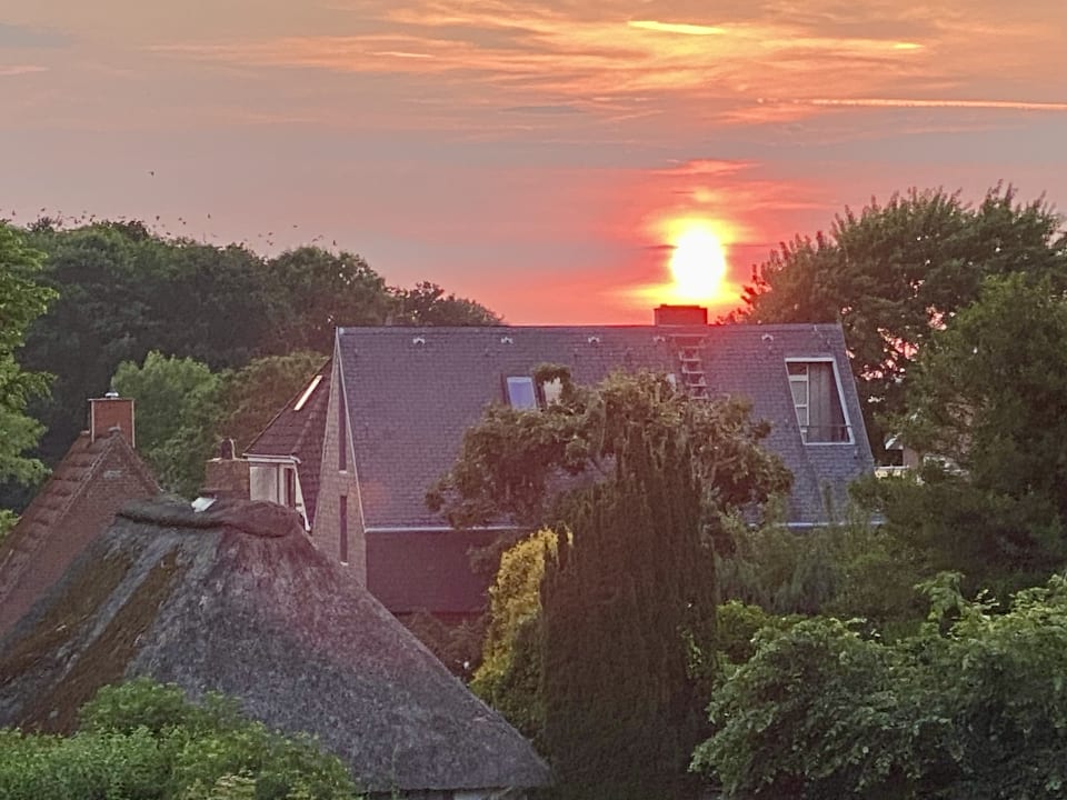 Ausblick Hotel Deichgraf