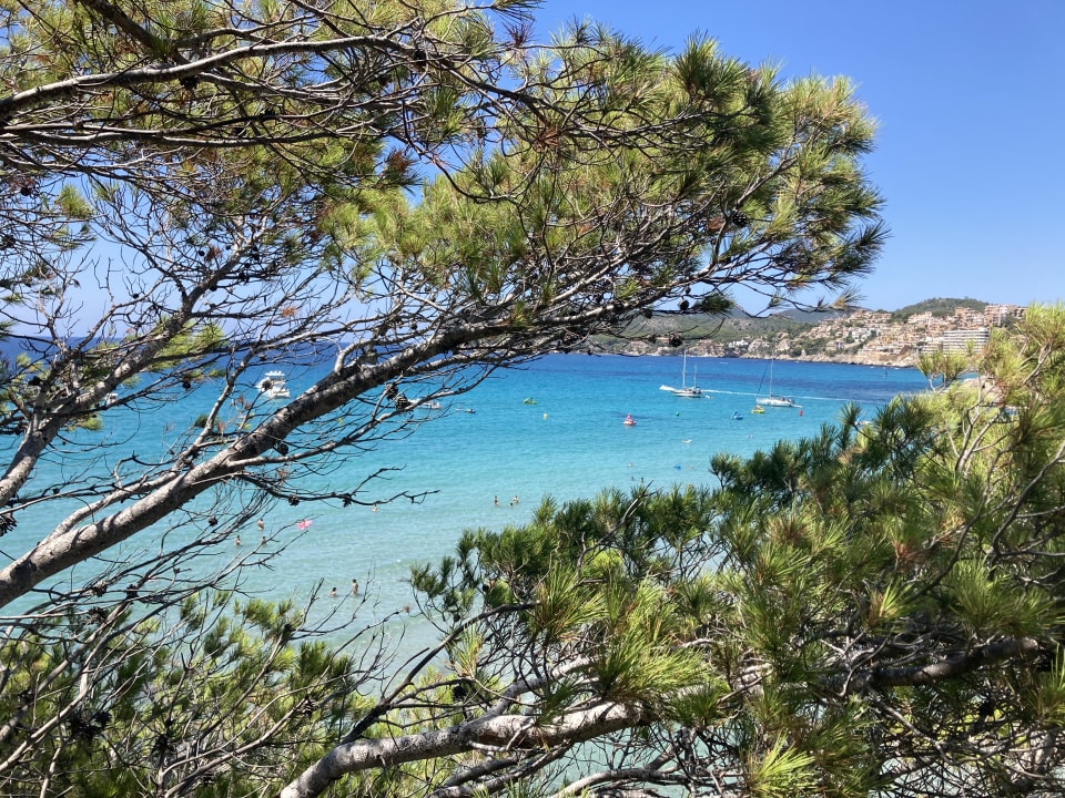 Ausblick Universal Hotel Lido Park & Spa