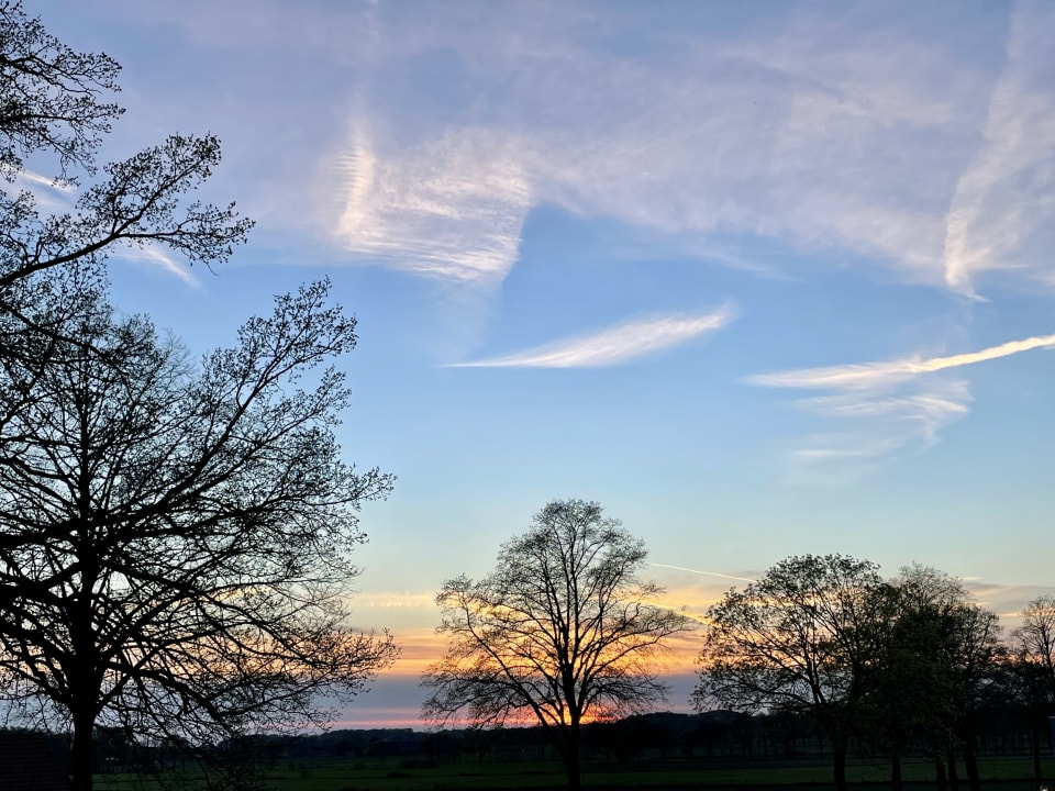 Ausblick Landhotel Voshövel