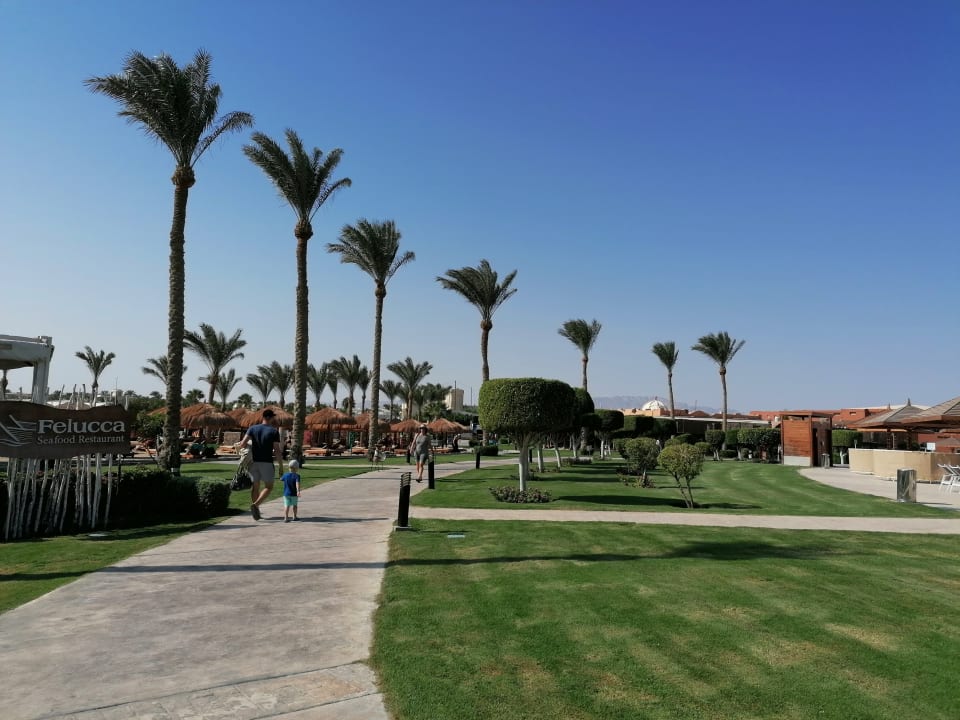 Gartenanlage SUNRISE Royal Makadi Resort