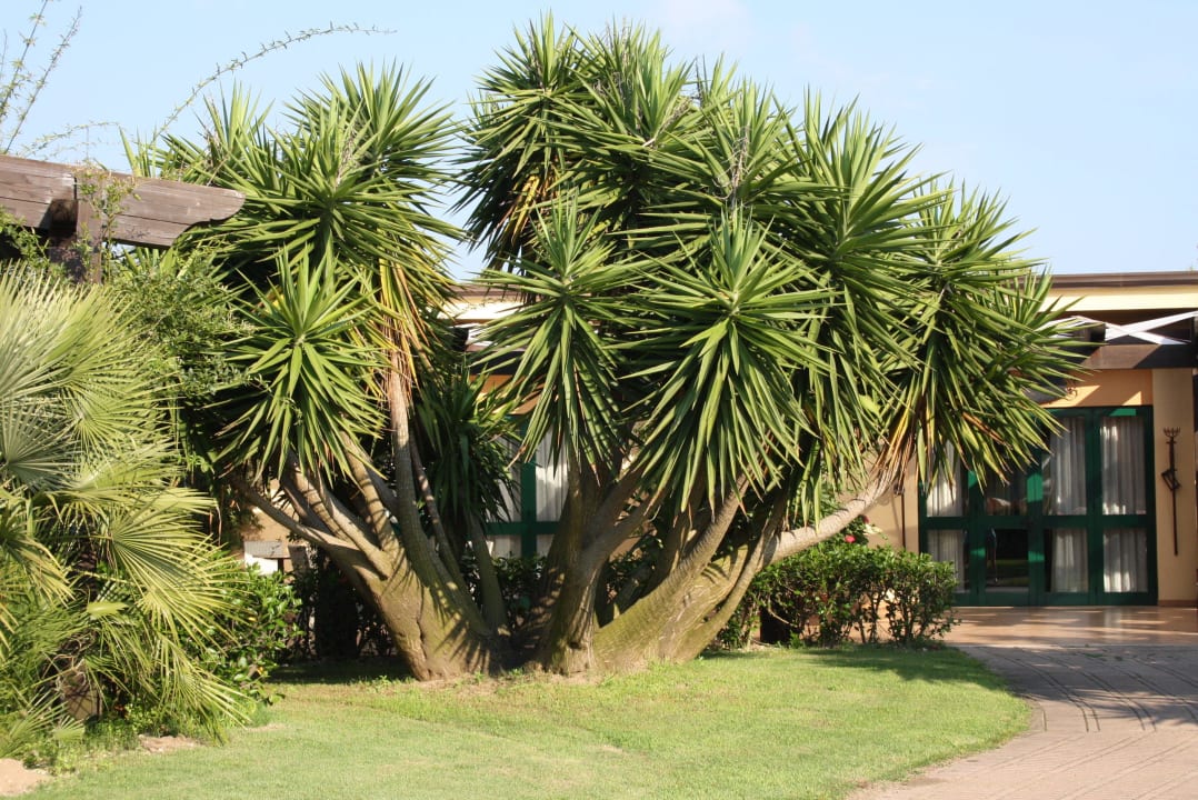 Clubanlage Falkensteiner Club Funimation Garden Calabria