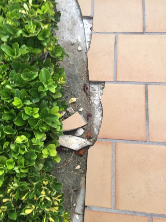 Sonstiges Alcudia Garden Aparthotel