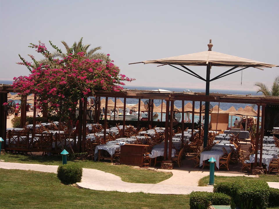 Miejsce lunchu Moreno Horizon Spa & Resort