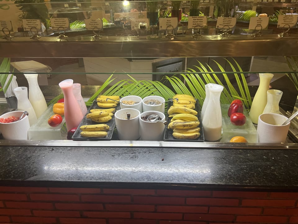 Gastro Catalonia Punta Cana - All Inclusive