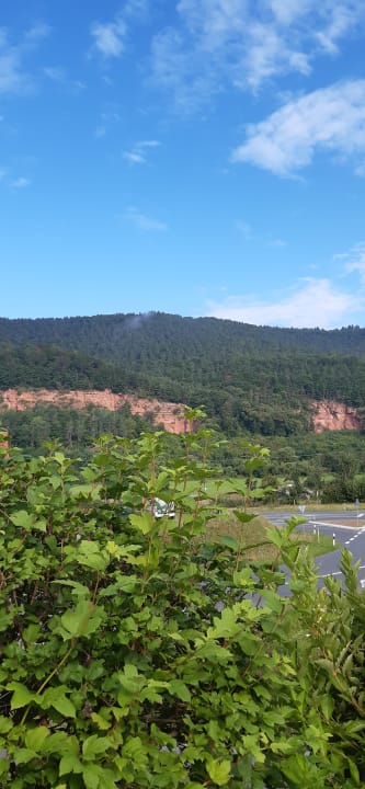 Ausblick Main-Vinotel Weingut Helmstetter