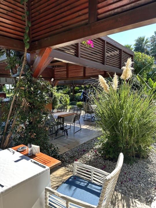 Gastro TUI MAGIC LIFE Beldibi +16