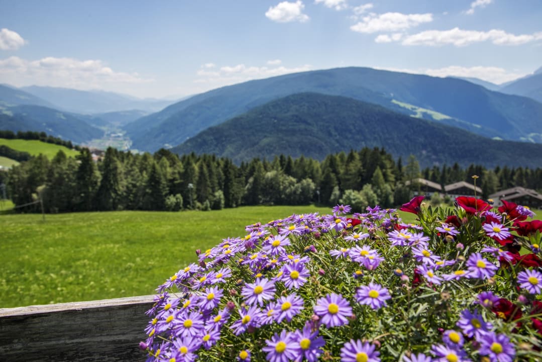 Ausblick Pension Wiesenrain