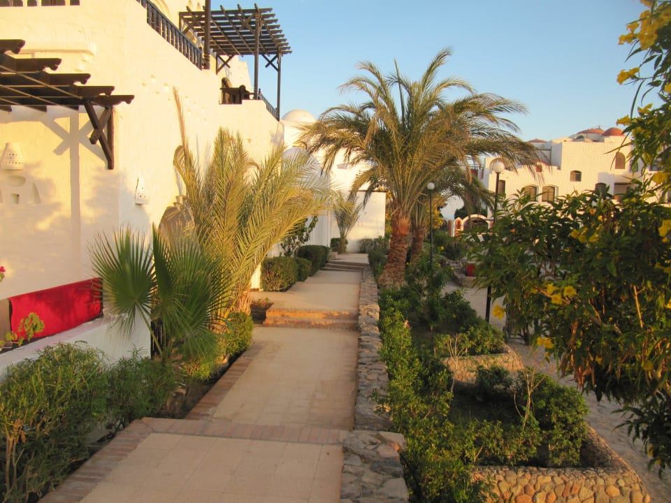 Hinter dem Zimmer Arabella Azur Resort