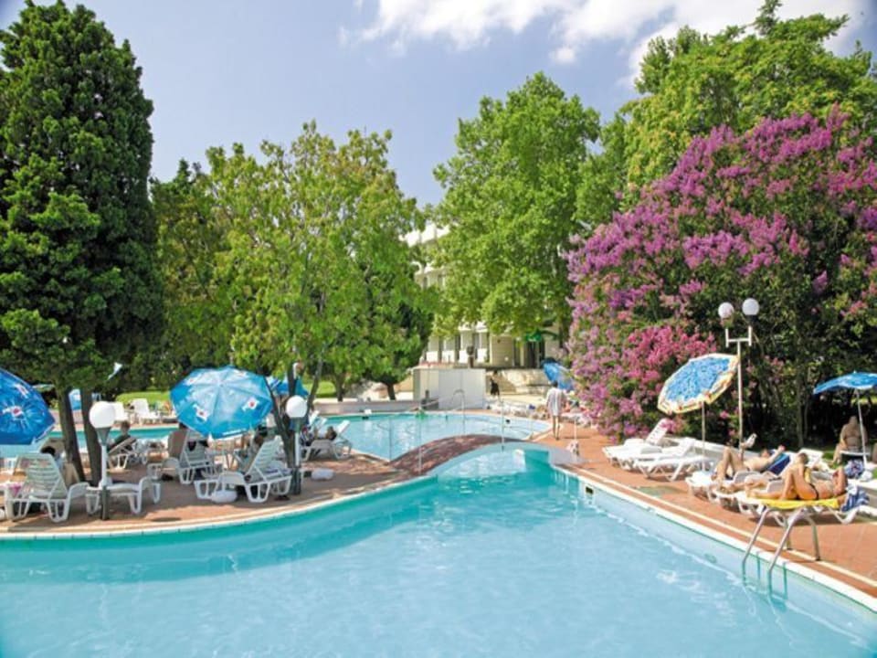 Lebed pool Hotel Lebed