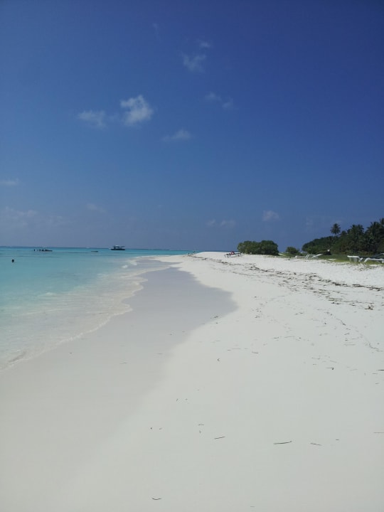 Traumhaft  Meeru Maldives Resort Island