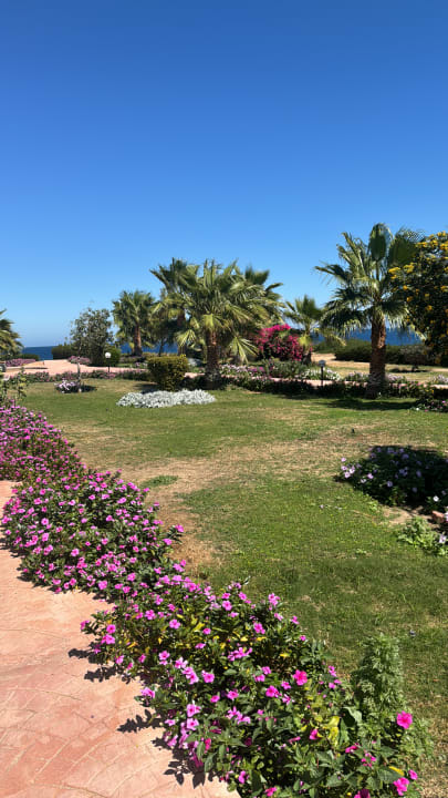 Gartenanlage Three Corners Equinox Beach Resort