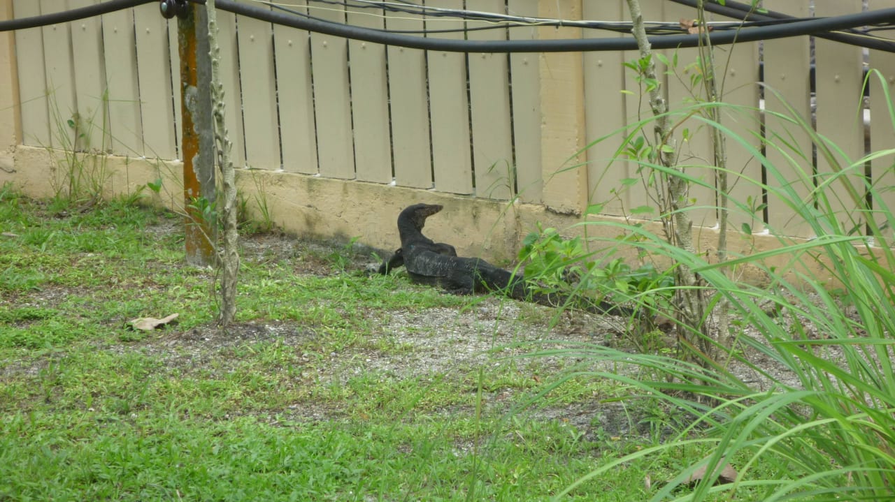 Besucher Koh Mook Sivalai Beach Resort