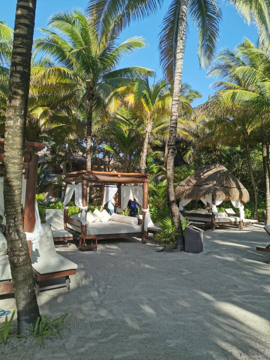 Strand TRS Yucatan Hotel - Adults only