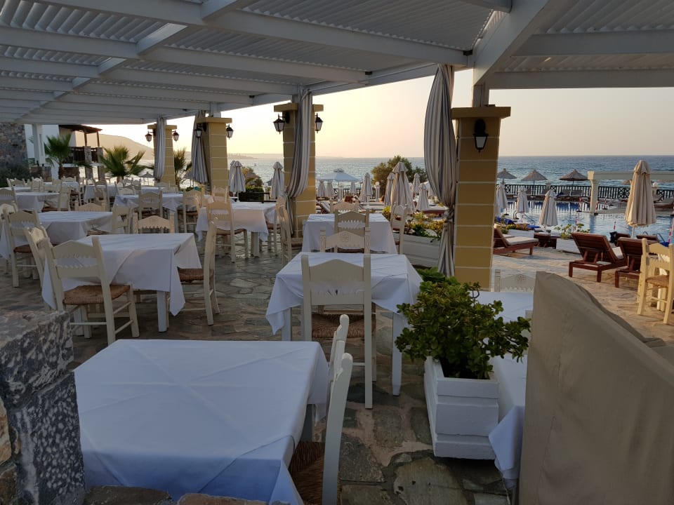 Gastro Alexander Beach Hotel & Village Resort