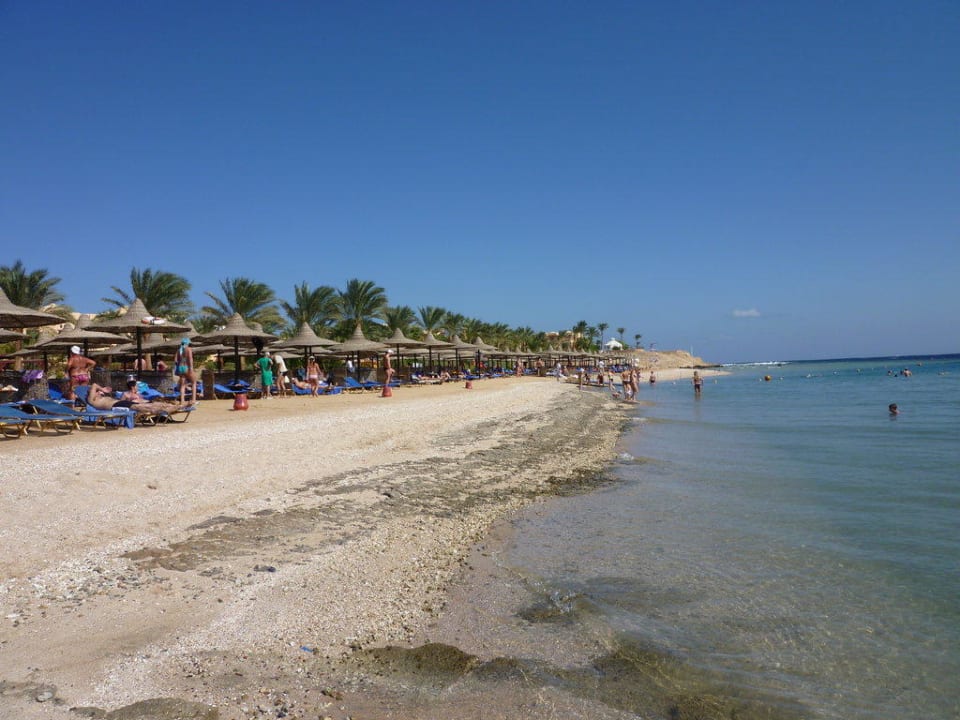 Strand Steigenberger Coraya Beach - Adults only