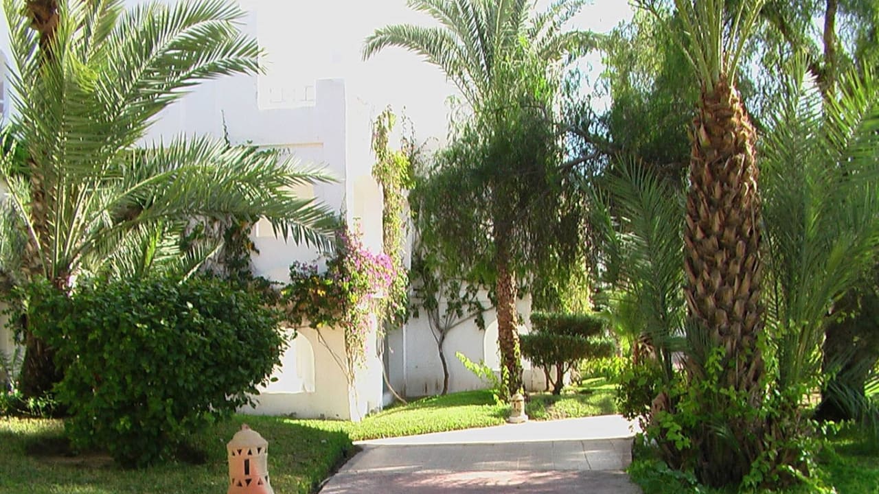 Gartenanlage Hotel Djerba Resort