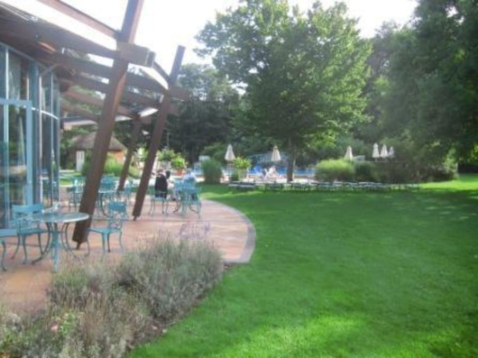 Frühstücks-/Abendbuffet-Restaurant und Pool Hotel Bernstein Prerow