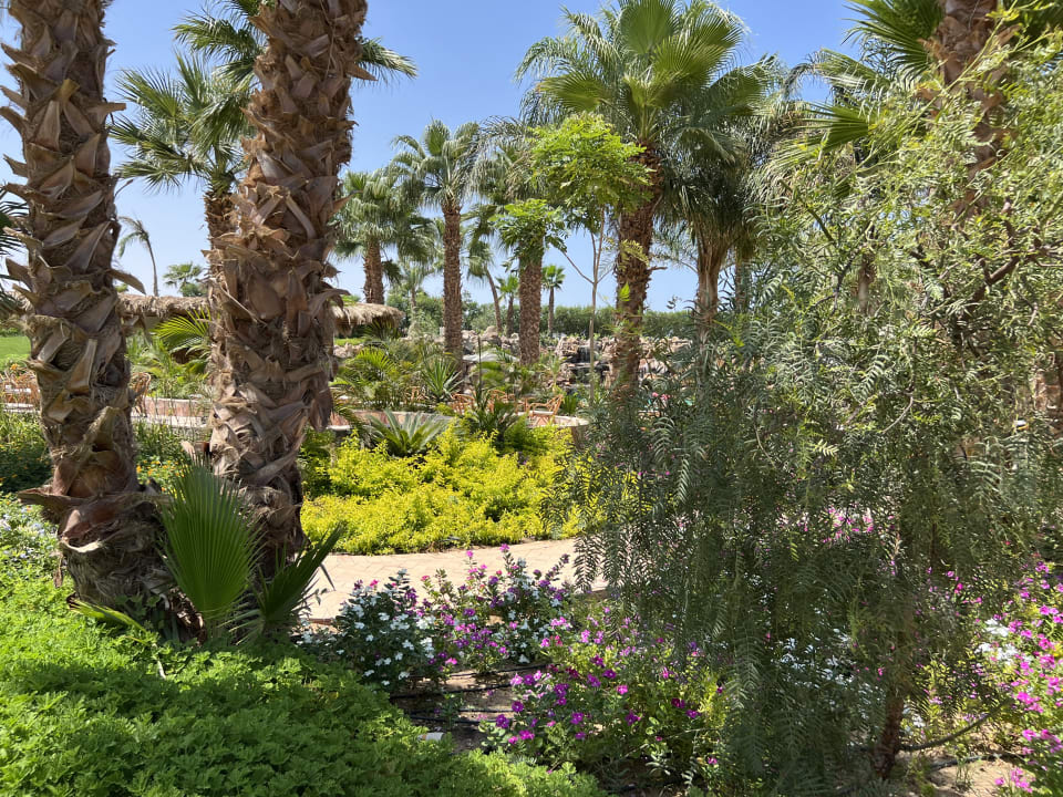 Gartenanlage Fort Arabesque - The West Bay