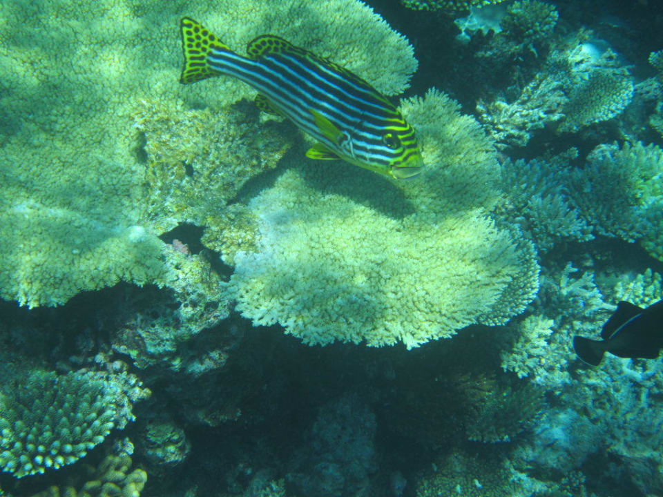 Hausriff Thulhagiri Island Resort