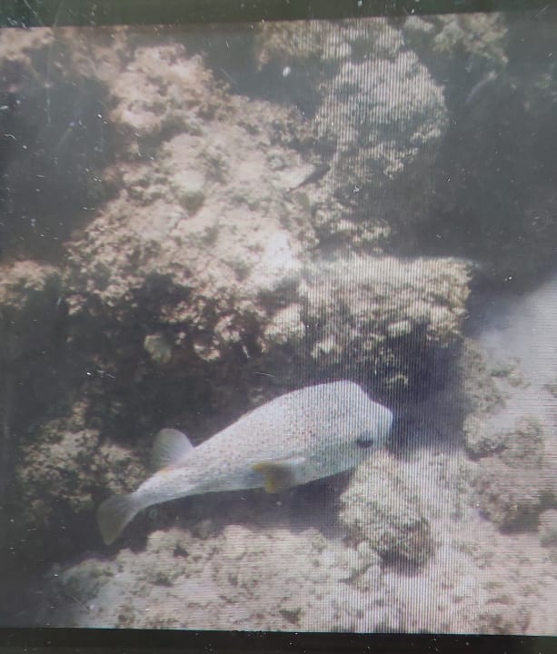 Sport & Freizeit Bahia Principe Grand El Portillo