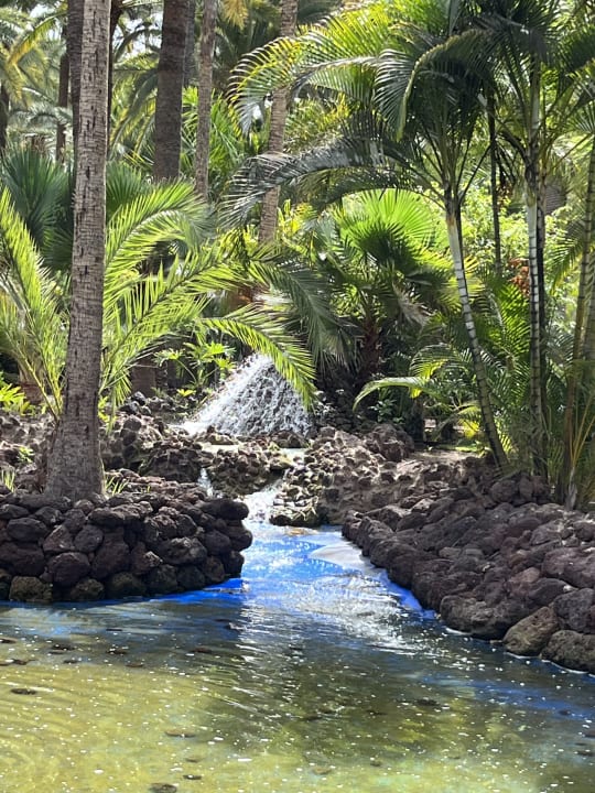 Außenansicht Hotel Riu Palace Oasis