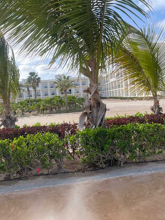 Gartenanlage Hotel Riu Palace Santa Maria