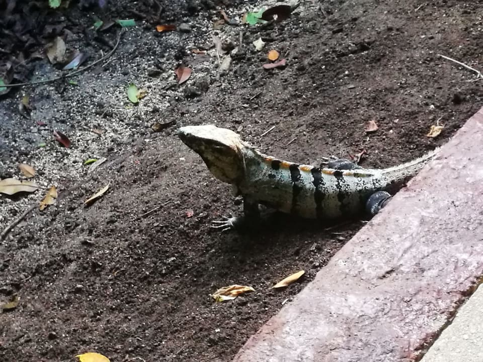 Sonstiges Grand Palladium Kantenah Resort & Spa