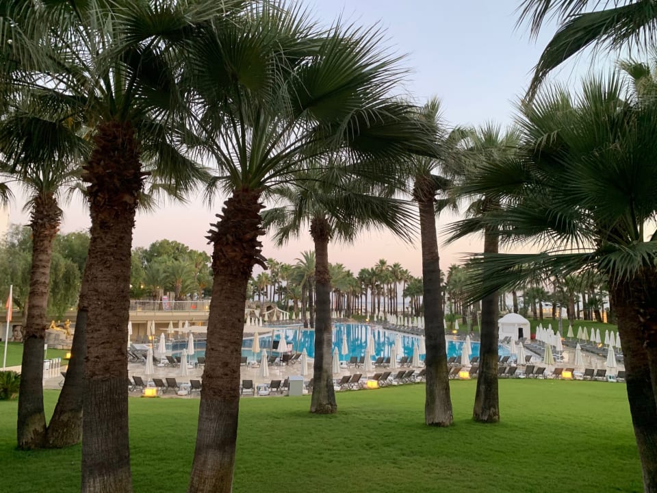 Pool Monachus Family Resort Sorgun