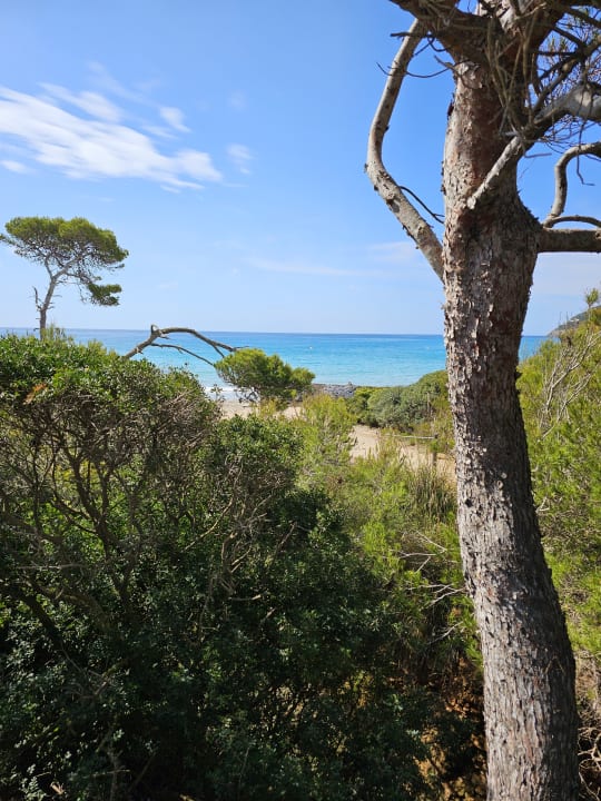 Strand Universal Hotel Castell Royal