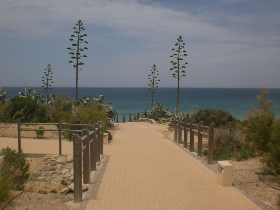 Weg zum Strand Ilunion Sancti Petri