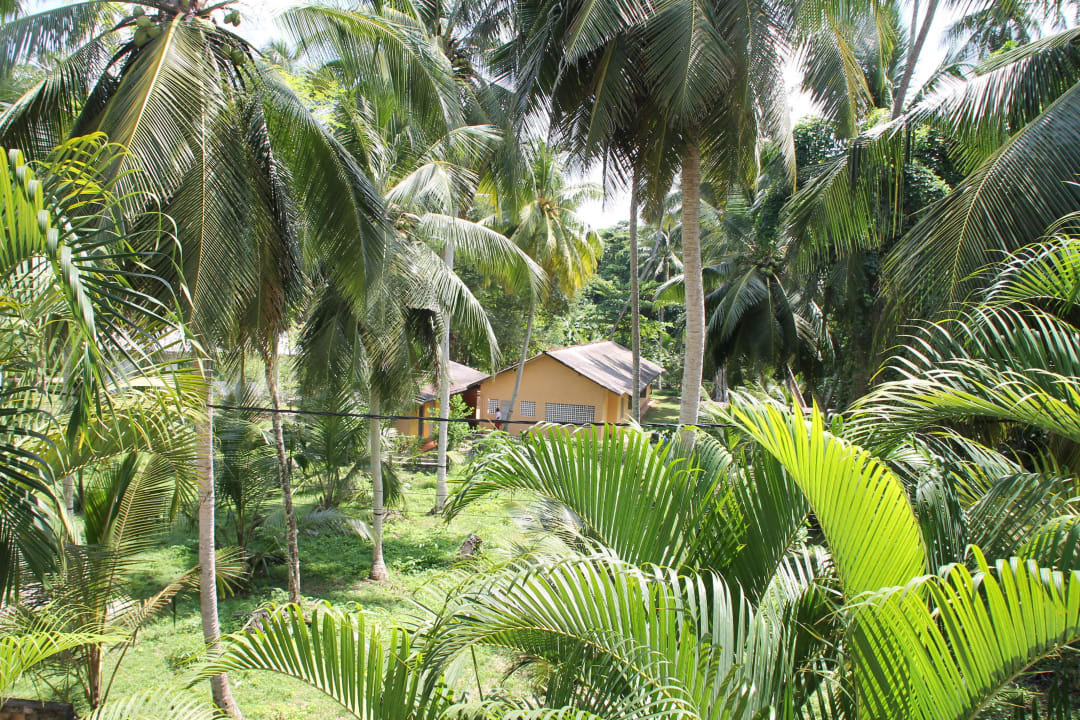 Ausblick vom Zug Hotel Lanka Princess Ayurveda