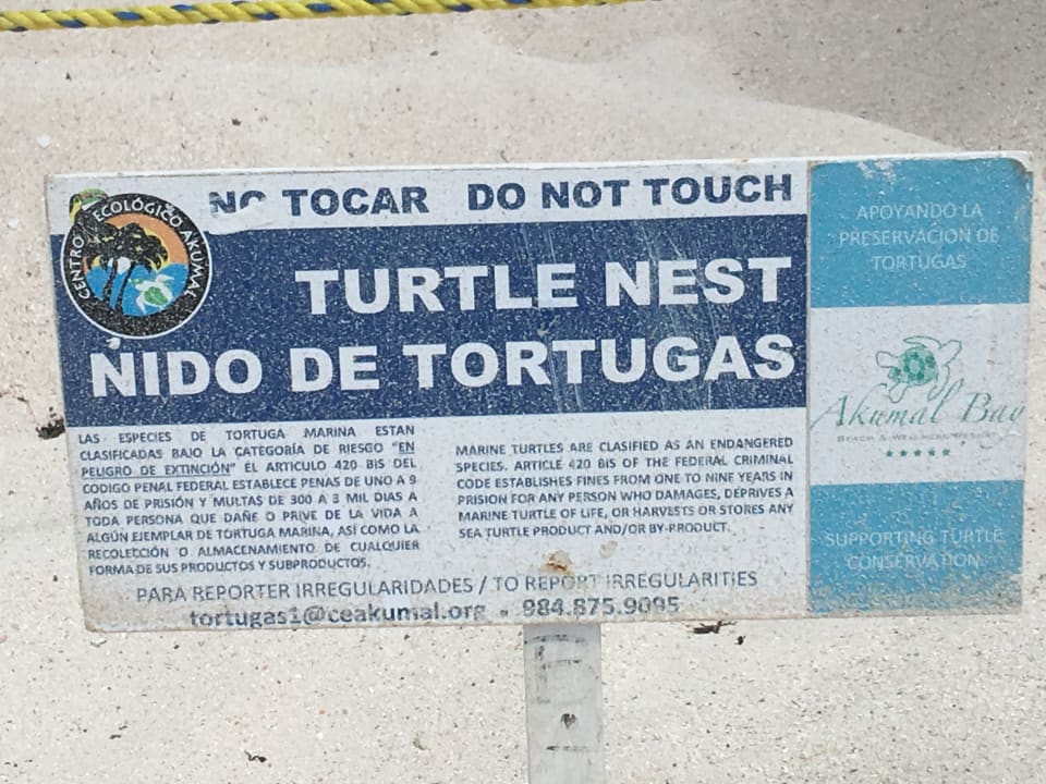 Sonstiges Akumal Bay Beach & Wellness Resort